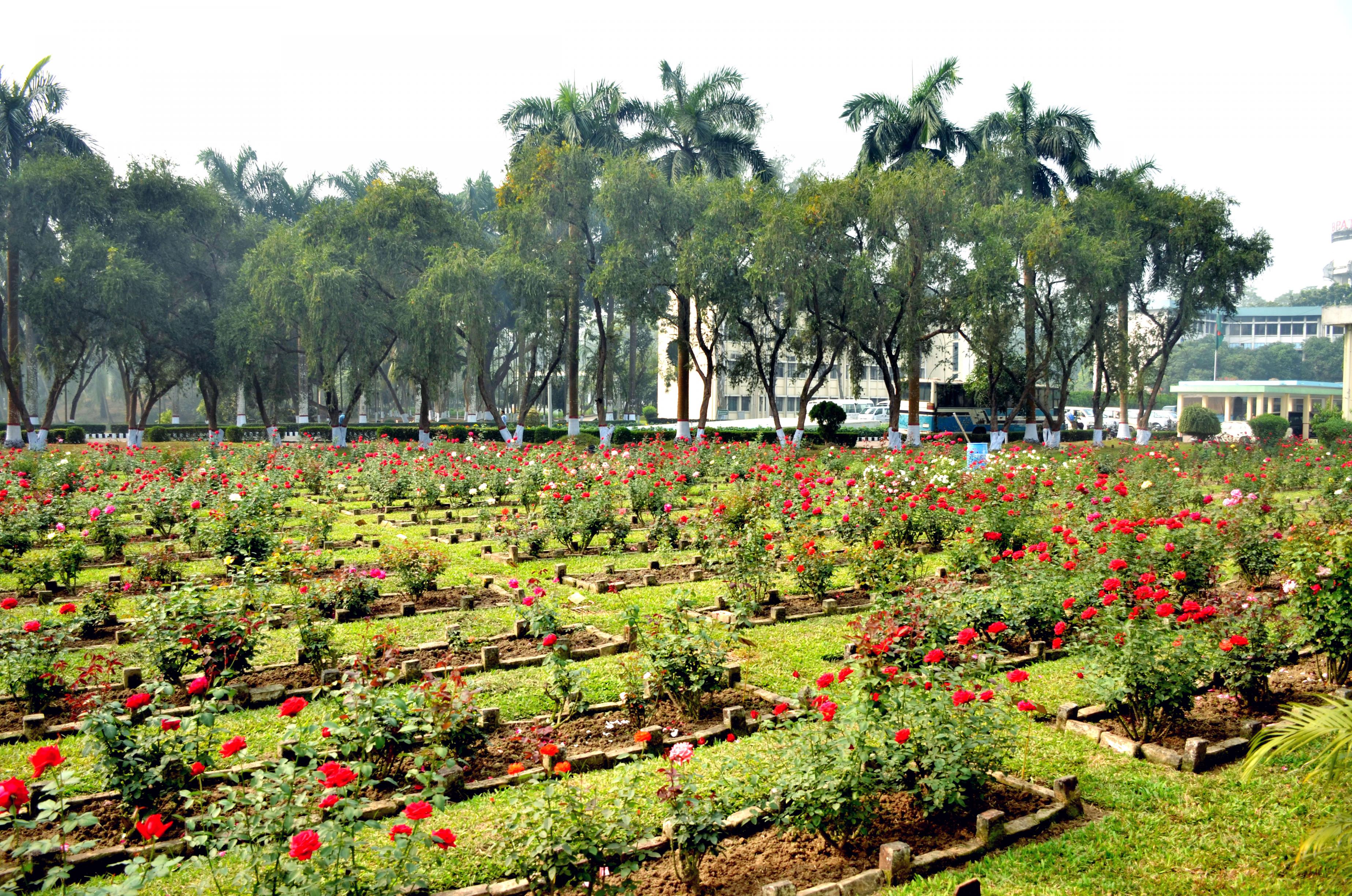 Flowers in BPATC campus