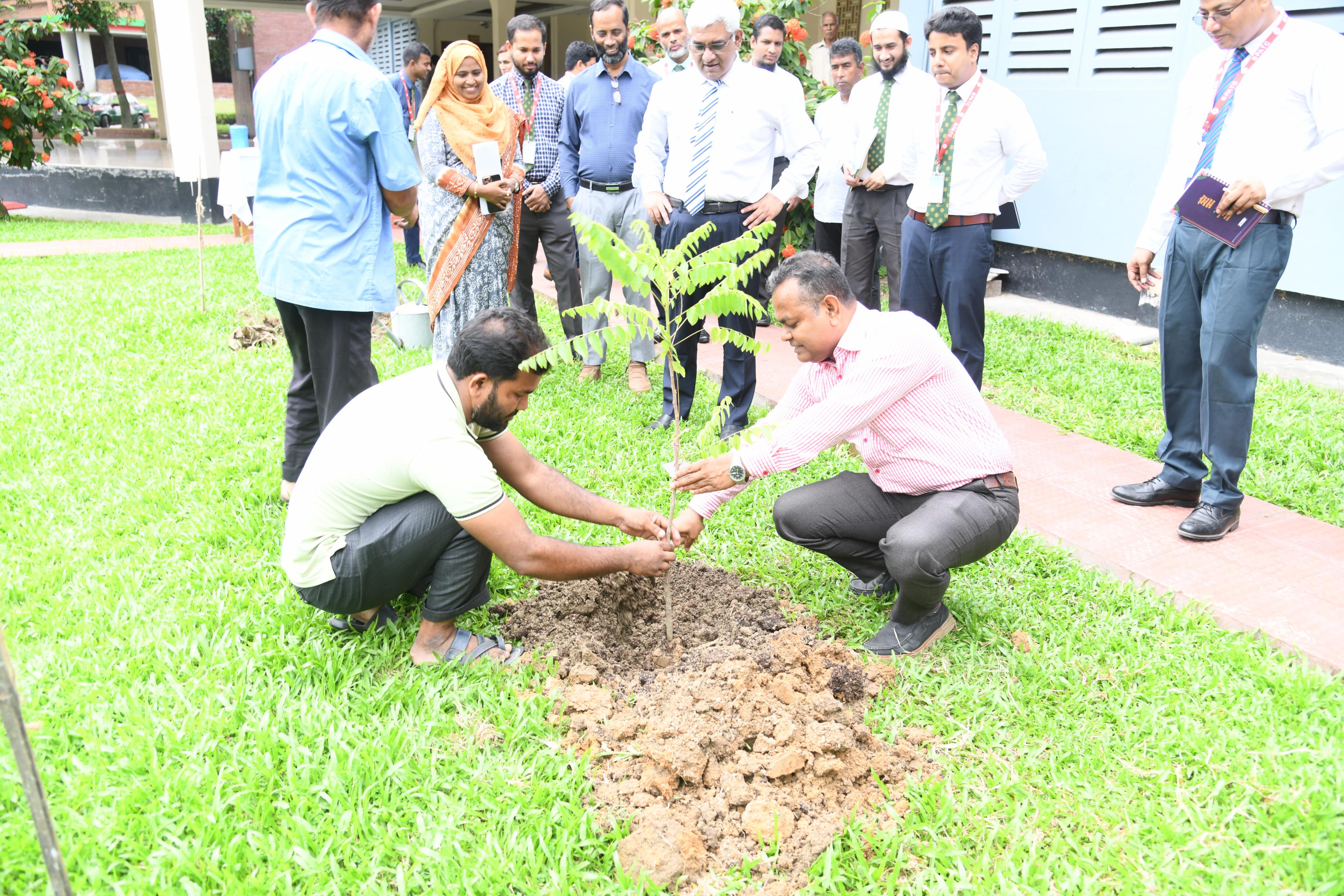 বৃক্ষ রোপন অভিযান উদ্বোধন